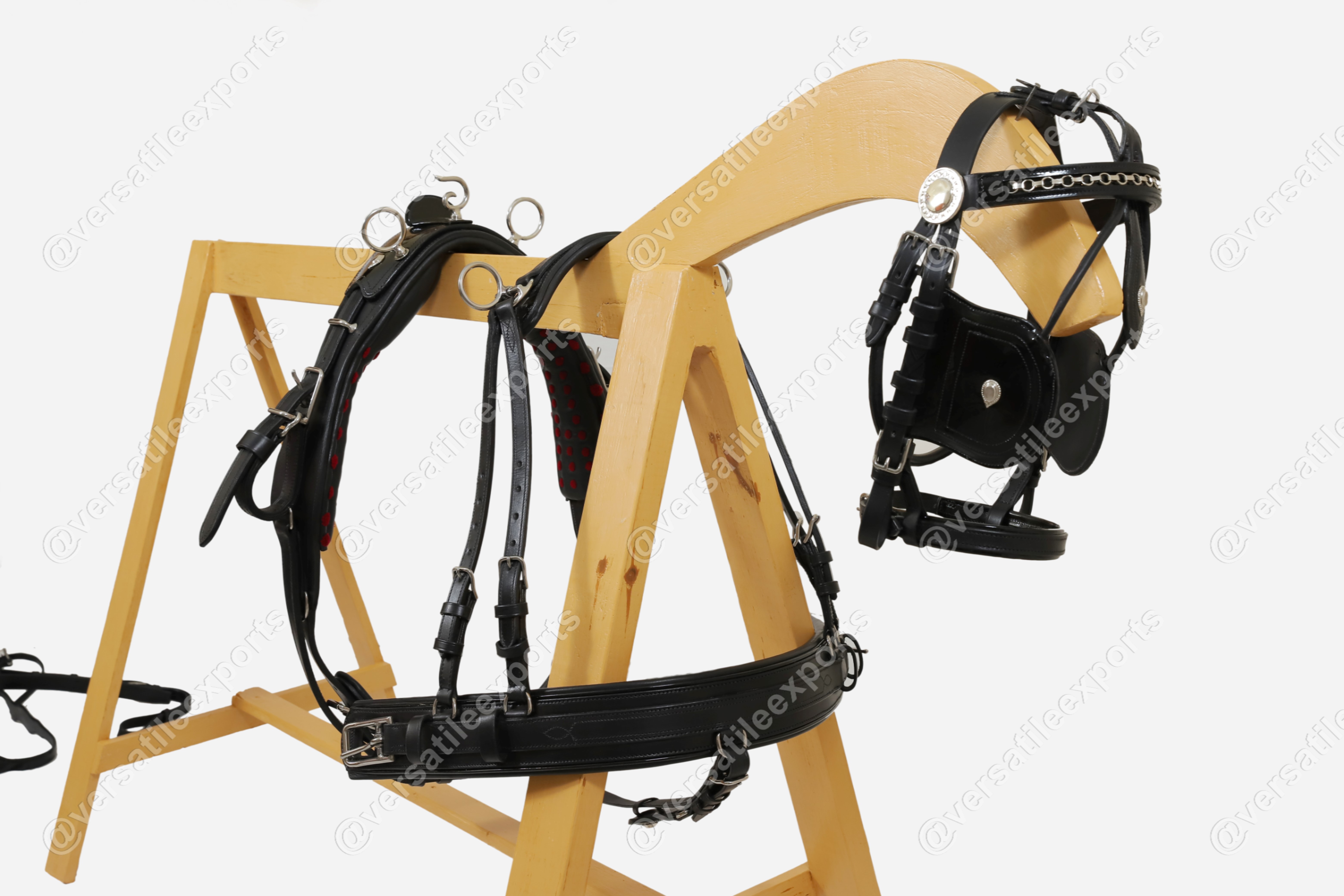 Presentation Harness